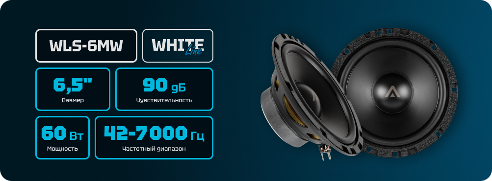 WLS-6MW_rich_01.png